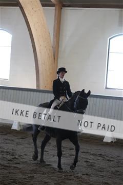 139267_kl_1_8M1Q6790.JPG