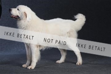 132082_le_ 01_IMG_1404.JPG