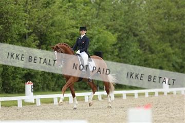 139835_sg_01_IMG_7470.JPG
