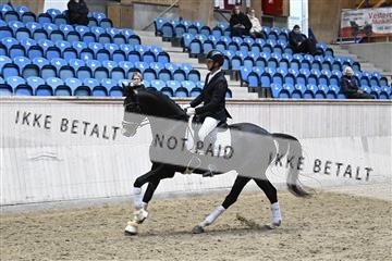 182241_kbb_01_Z093874.JPG