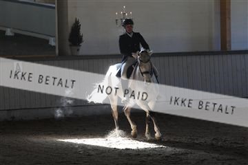 139267_kl_1_8M1Q6520.JPG