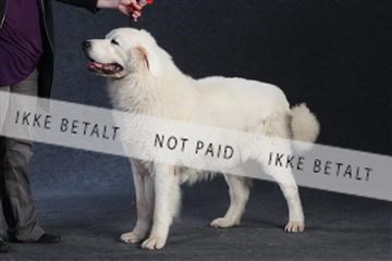 132082_le_ 01_IMG_1409.JPG