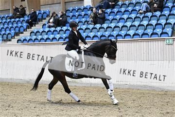 182241_kbb_01_Z093418.JPG