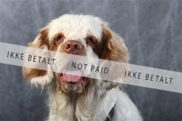 129608_le_ 01_0734.JPG