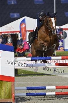 139644_abo_01__AB13712.JPG