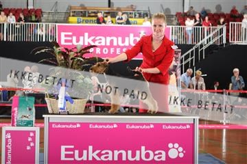 6068_ma_05_IMG_5691.JPG