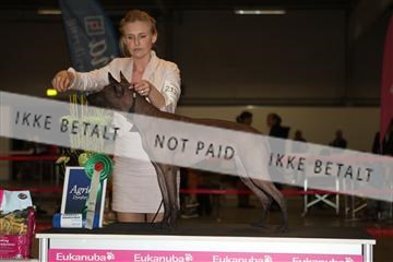 133496_ms_01_IMG_9375.JPG