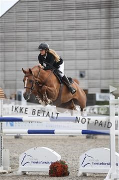 152762_nn _05_IMG_7574.JPG