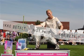 130370_se_02_IMG_6291.JPG