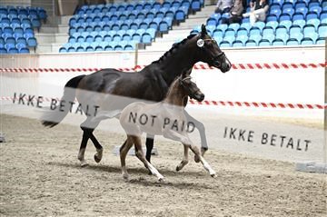 181754_kbb_01_Z093615.JPG