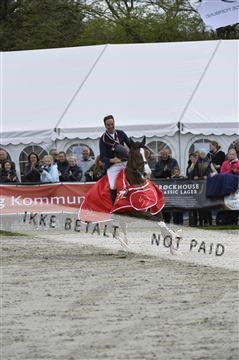 139644_abo_11__AB11636.JPG