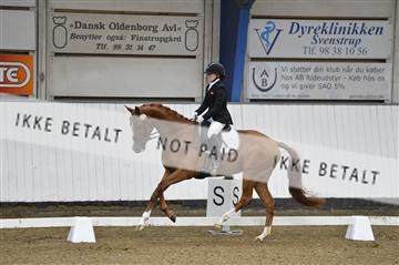 140040_abo_02__AB18342.JPG