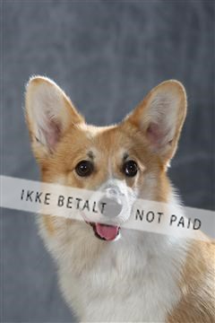 130054_le_ 01_0311.JPG