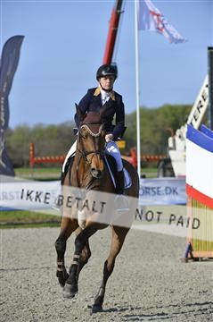 139644_abo_02__AB14795.JPG