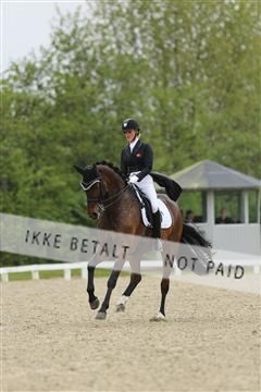 139835_sg_02_IMG_8431.JPG