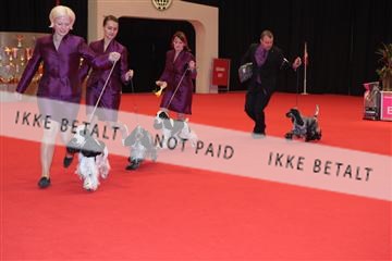 126827_tl_04_IMG_9891.JPG
