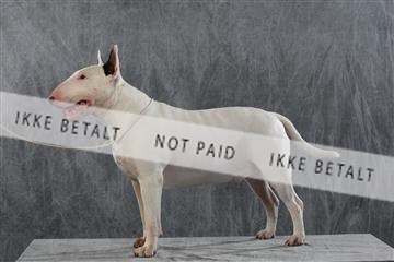 128239_le_kort_ 01_0270.JPG