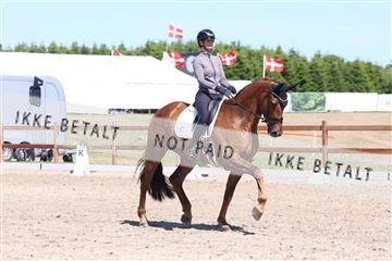 181449_bc_01R62_5713.JPG