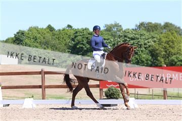 181449_bc_01R62_5641.JPG