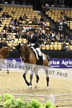 182194_kbb_03_Z090837.JPG