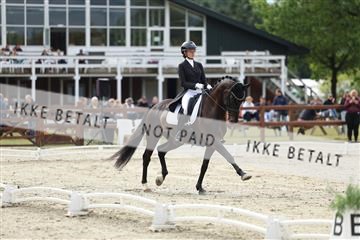 181923_mtp_03_R62_7469.JPG