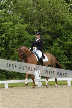 139835_sg_01_IMG_8042.JPG
