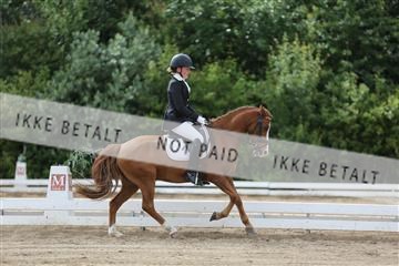 156196_nn_01_IMG_6444.JPG