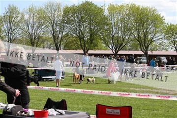 134871_ms_02_IMG_3220.JPG
