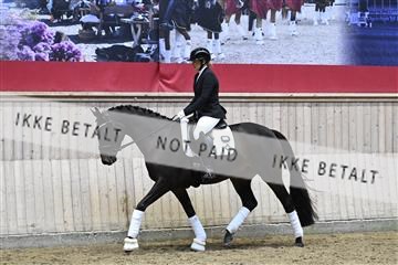 182241_kbb_01_Z094401.JPG