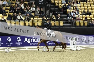 182194_kbb_03_Z090780.JPG