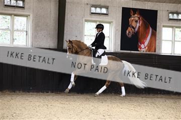 181243_avh_01_2121 (1).JPG