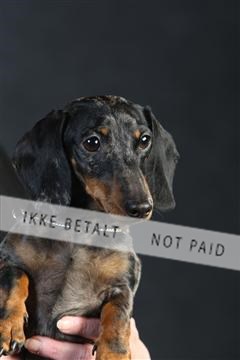 132082_le_ 01_IMG_0175.JPG