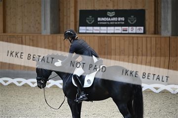 182176_kbb_01_Z094281.JPG