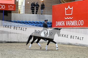 182241_kbb_01_Z093615.JPG