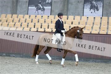 181852_mtp_04_R62_2923.JPG