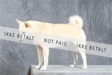 130054_le_ 03_0386.JPG