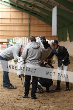 139265_kl_1_8M1Q6367.JPG