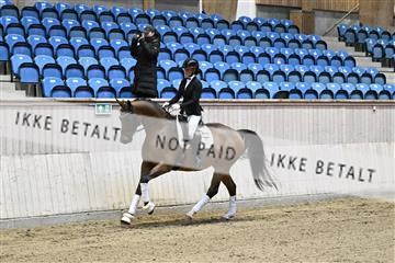 182241_kbb_01_Z093018.JPG