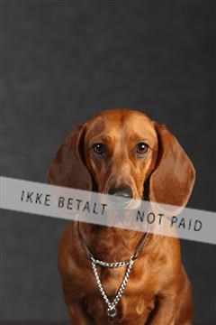 132082_le_ 01_IMG_0306.JPG