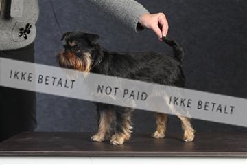 132082_le_ 01_IMG_0042.JPG