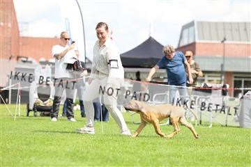 181564_rin_01_R62_7678.JPG