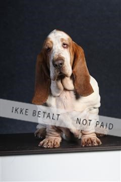 132082_le_ 01_IMG_0720.JPG