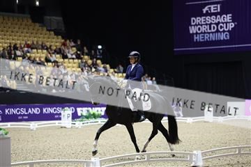 182194_mlm_02_R62_0860.JPG