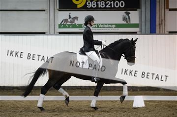 141472_abo_01__AB15657.JPG