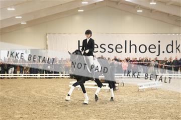 174363_kbb_01_R6II8205.JPG