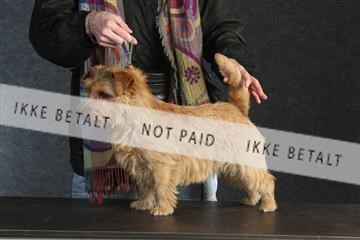 132082_le_ 01_IMG_0521.JPG