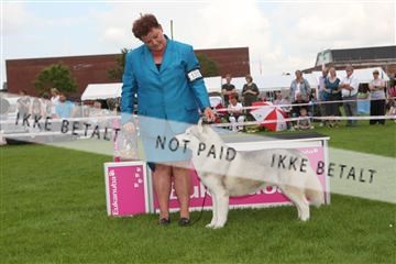 130370_le_02_IMG_8595.JPG