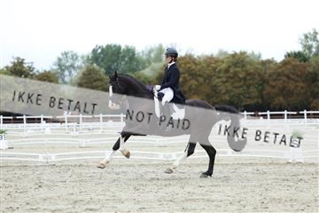 181923_mtp_01_R62_6765.JPG