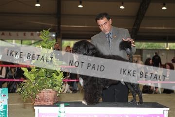 126168_se_01_IMG_6920.JPG