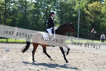 168732_mtp_01_3M5A6284.JPG